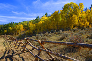 Grouse Creek fence 10
